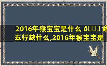 2016年猴宝宝是什么 🐞 命五行缺什么,2016年猴宝宝是什么命五行缺什么属性